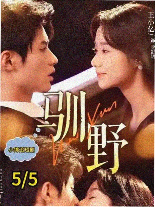 潮汐表 独立电影封面